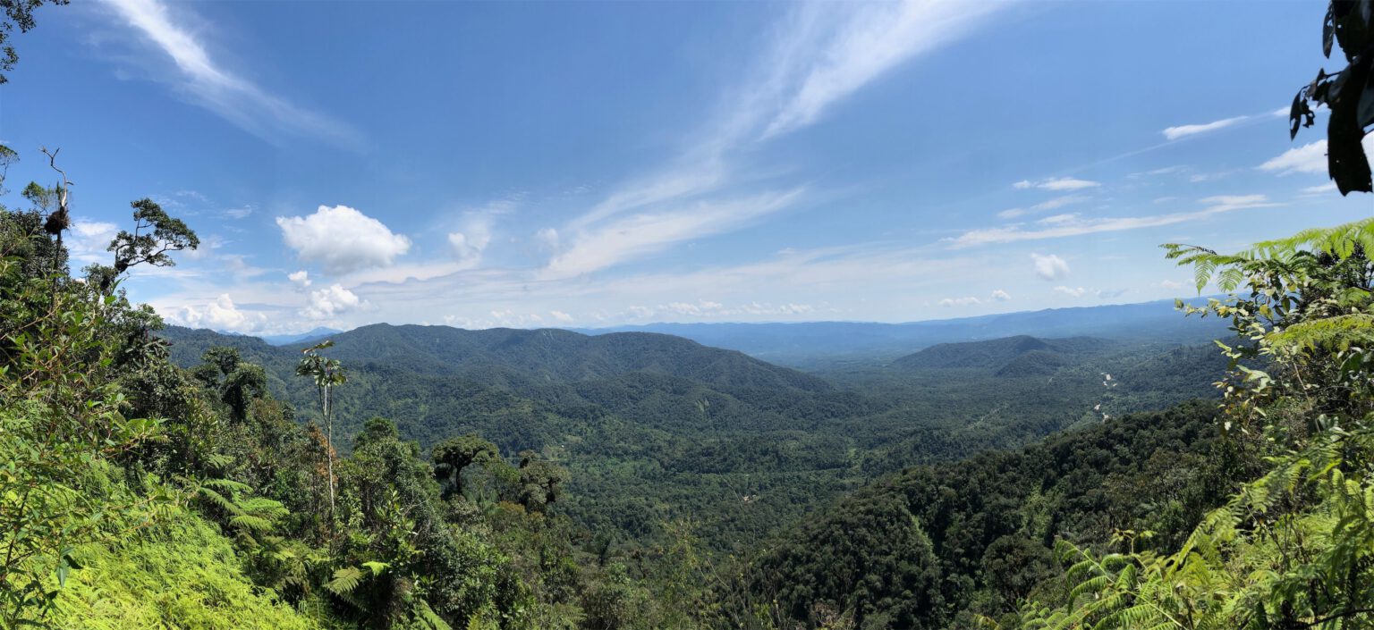 Piece of Peru Rainforest HappyLandGifts Landregister