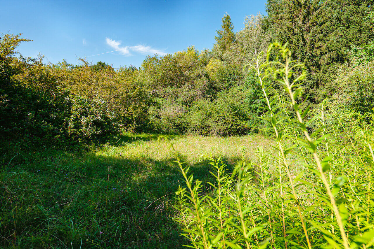 Einblick in Bayern