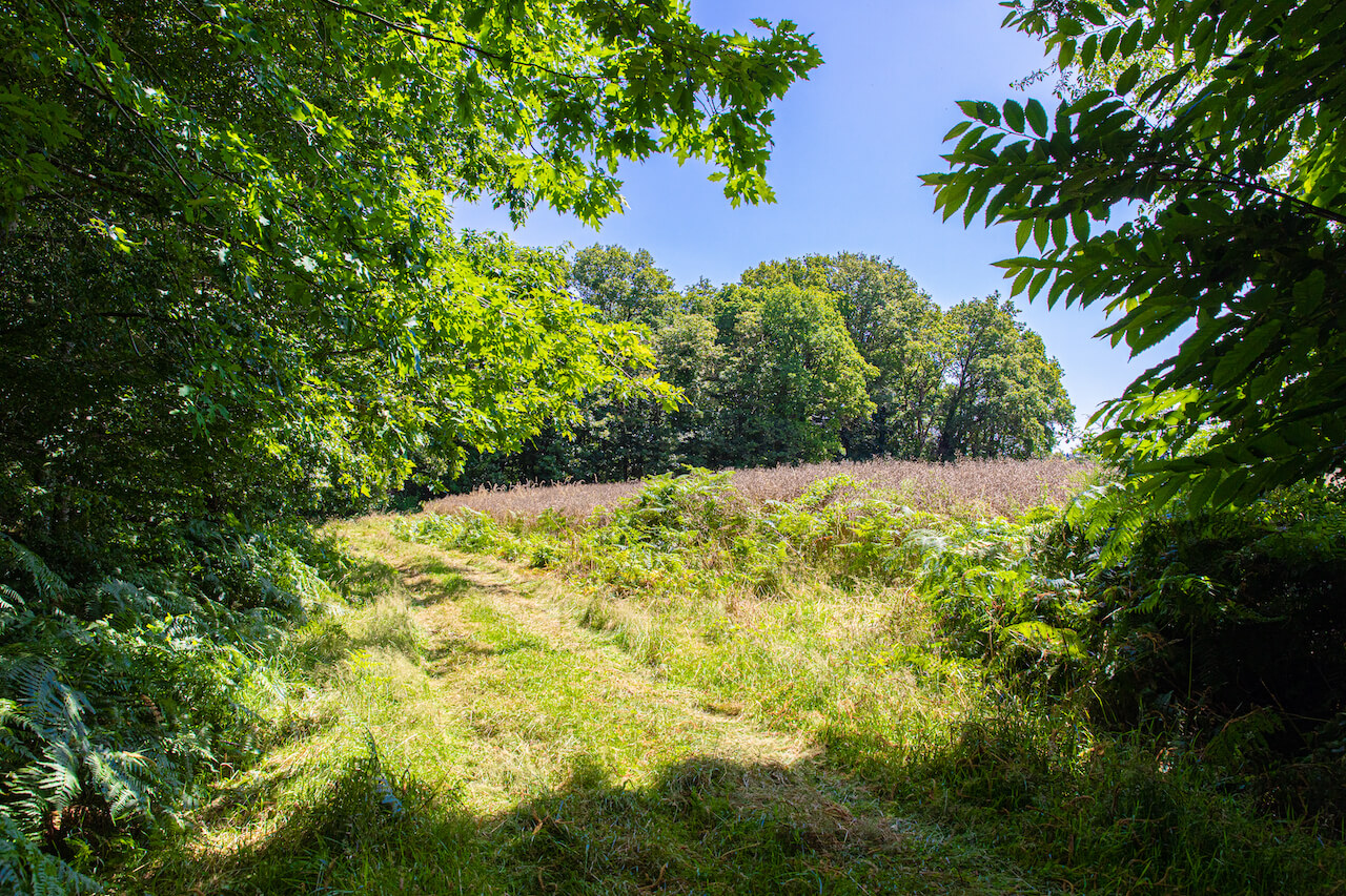 Grüne Landschaft beim HappyLandGifts-Grundstück in Monteneuf, Frankreich